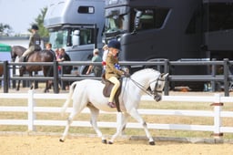 E65_2717 2026