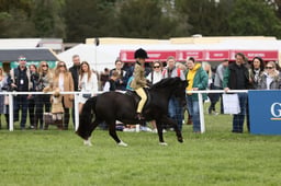 E30_1105 2026