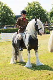S61_0954 2026