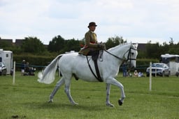 E36_2161 2026