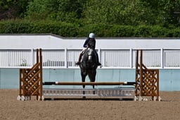 161 GOULANE GUS