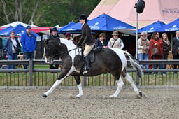 A29_1097 2026