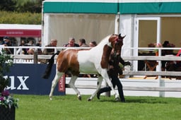 S28_8794 2026