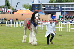 F44_0653 2026