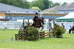 60 Challenge Nursery Stakes