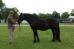 W29_0778 2026