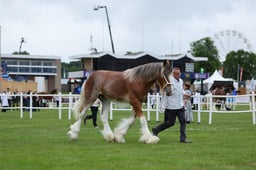 H44_0019 2026