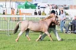 C33_0268 2026