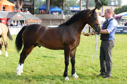 E69_0482 2026