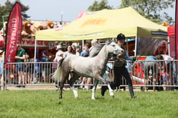 E34_1279 2026