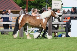 S28_9356 2026