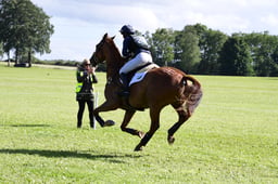 G39_3717 2026