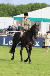 S30_2662 2026