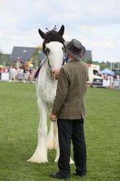 E36_2003 2026