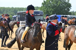 A65_2745 2026