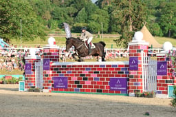 C49_7131 2026