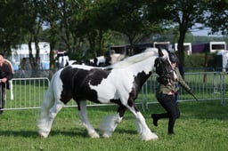 C34_0427 2026