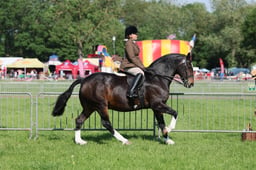 C33_0640 2026