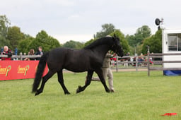 W29_0755 2026