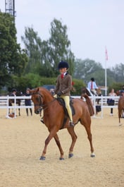 E65_2008 2026