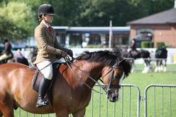 122 RIHS M&M Ridden Intermediate