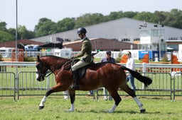 C34_1070 2026