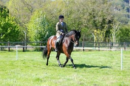 M19_0695 2026