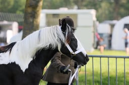 C34_0392 2026