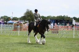 E36_1750 2026