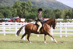 E42_0321 2026