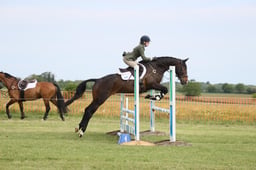 23 DUKE OF PERFECTION