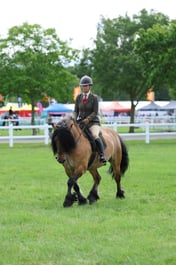 H41_2189 2026
