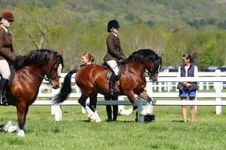 H19_0405 2026