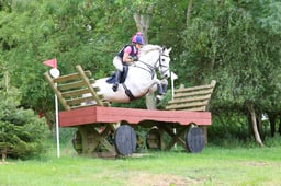 54 Turloughrevagh Bui