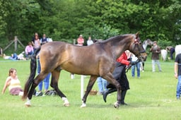 J36_7018 2026