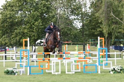 H305 Senior Foxhunter