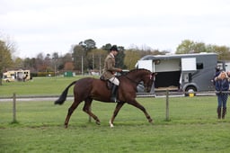 Riding Horse Championships