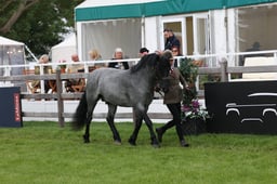 W29_0616 2026
