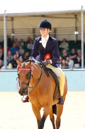 Show Pony Championship
