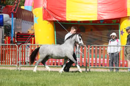 E34_1126 2026