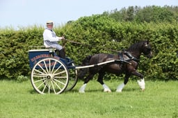 E33_4771 2026