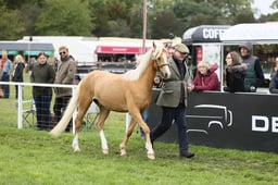 E29_0554 2026