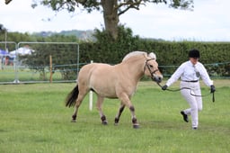 J36_7608 2026