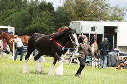 E36_1500 2026