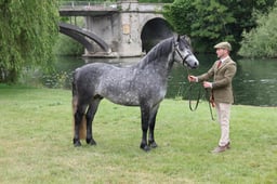 L29_9197 2026