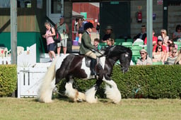 S61_0385 2026