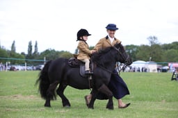 46 Unaffiliated Ridden LR M&M