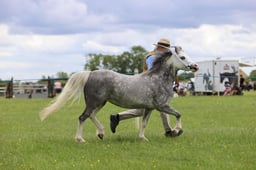 J36_7130 2026