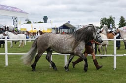 M44_0990 2026