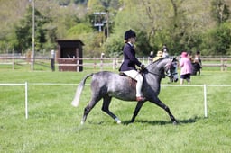 E17_9964 2026